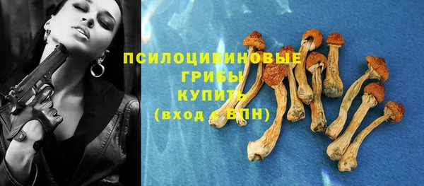 хмурый Пестово