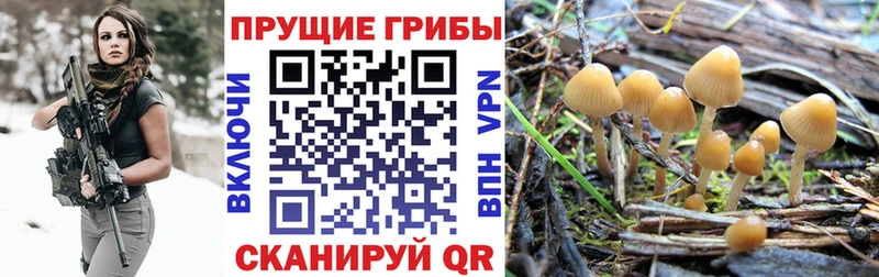 купить наркоту  Алупка  Галлюциногенные грибы мухоморы 